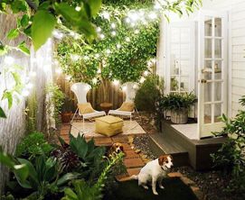 Outdoor & Garden